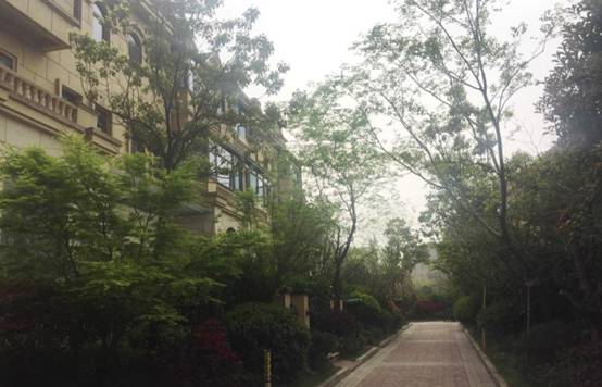 85a3d654d8d94d2c58e0b6b7402c9a35